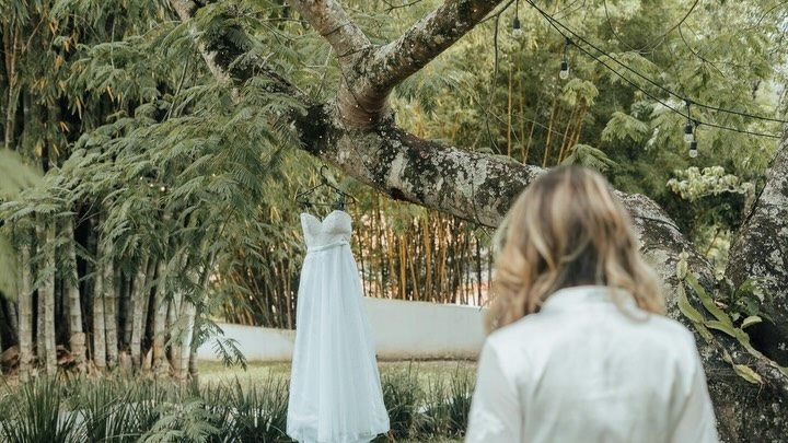 Vestido de noiva pendurado em uma árvore diante do bambuzal